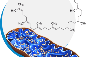 Genuine Purity Longevity+ Review
