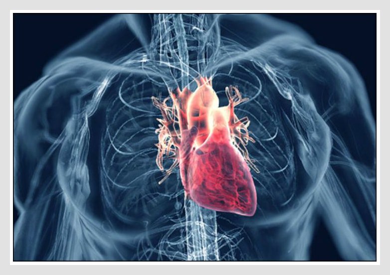 Health Discovery Review