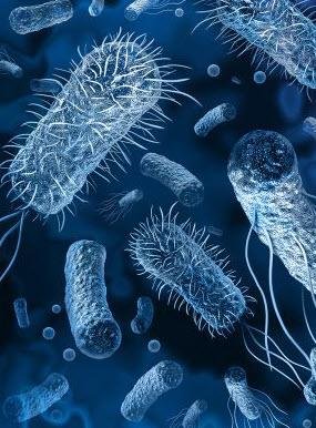 Ikaria Lean Belly Juice review